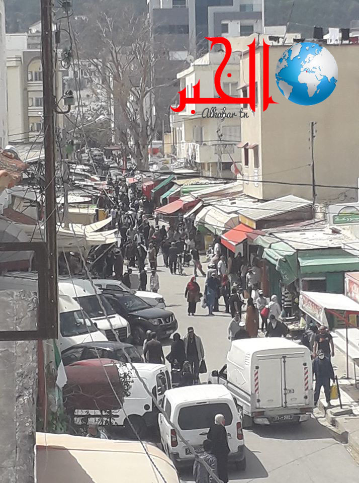 حركة عادية بحمام الأنف اليوم