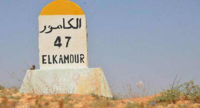 الكامور : النجاحات والإخفاقات