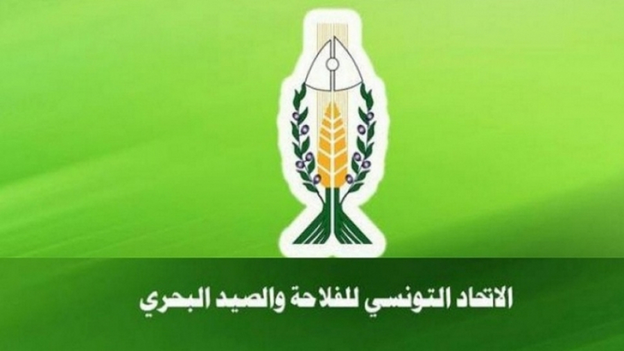 اتّحاد الفلاحين: السياسات الخاطئة وراء صعوبة توفير قوت التونسيين